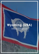 form a wyoming company and open a bank account