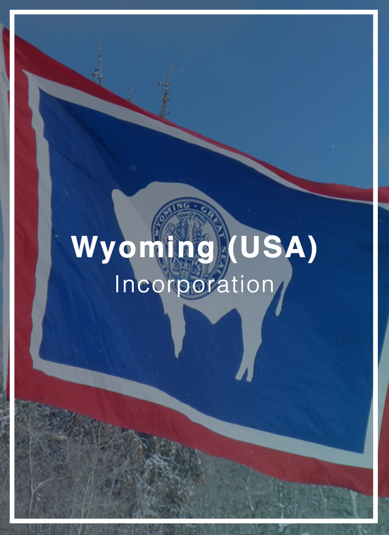 form a wyoming company and open a bank account