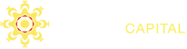 Far Horizon Capital Logo